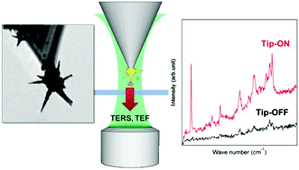 Graphical abstract: Nanostar probes for tip-enhanced spectroscopy