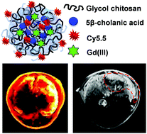 Graphical abstract: T1-Weighted MR imaging of liver tumor by gadolinium-encapsulated glycol chitosan nanoparticles without non-specific toxicity in normal tissues