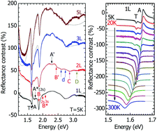 Graphical abstract: Exciton band structure in layered MoSe2: from a monolayer to the bulk limit