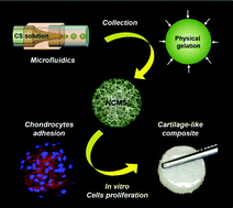 Graphical abstract: Chitosan microspheres with an extracellular matrix-mimicking nanofibrous structure as cell-carrier building blocks for bottom-up cartilage tissue engineering