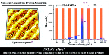 Graphical abstract: Ascertaining effects of nanoscale polymeric interfaces on competitive protein adsorption at the individual protein level