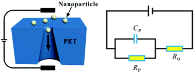 Graphical abstract: A capacitive-pulse model for nanoparticle sensing by single conical nanochannels