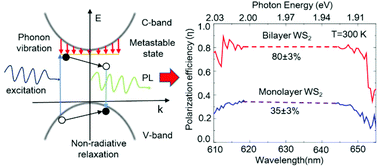 Graphical abstract: Robust room temperature valley polarization in monolayer and bilayer WS2