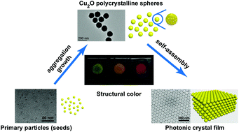 Graphical abstract: Synthesis of highly uniform Cu2O spheres by a two-step approach and their assembly to form photonic crystals with a brilliant color