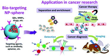 Graphical abstract: Fluorescent/magnetic micro/nano-spheres based on quantum dots and/or magnetic nanoparticles: preparation, properties, and their applications in cancer studies