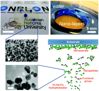 Graphical abstract: Ultraporous superhydrophobic gas-permeable nano-layers by scalable solvent-free one-step self-assembly