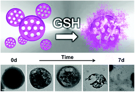 Graphical abstract: Breakable mesoporous silica nanoparticles for targeted drug delivery