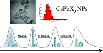 Graphical abstract: Kinetics of cesium lead halide perovskite nanoparticle growth; focusing and de-focusing of size distribution