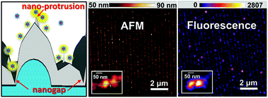 Graphical abstract: Plasmonic gratings with nano-protrusions made by glancing angle deposition for single-molecule super-resolution imaging