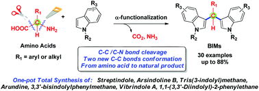 Graphical abstract: One-pot total synthesis of streptindole, arsindoline B and their congeners through tandem decarboxylative deaminative dual-coupling reaction of amino acids with indoles