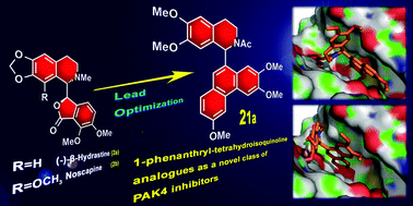 Graphical abstract: Design, synthesis and biological evaluation of 1-phenanthryl-tetrahydroisoquinoline derivatives as novel p21-activated kinase 4 (PAK4) inhibitors