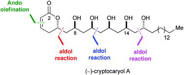 Graphical abstract: The total synthesis of (−)-cryptocaryol A