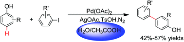 Graphical abstract: Palladium-catalyzed direct arylation of phenols with aryl iodides
