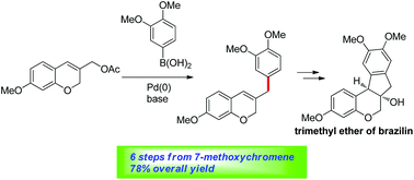 Graphical abstract: A concise synthetic approach to brazilin via Pd-catalyzed allylic arylation