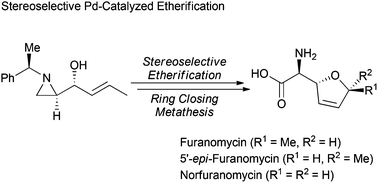 Graphical abstract: Stereoselective Pd-catalyzed etherification and asymmetric synthesis of furanomycin and its analogues from a chiral aziridine