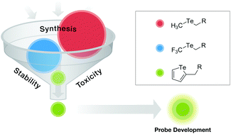 Graphical abstract: Organotellurium scaffolds for mass cytometry reagent development