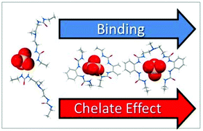 Graphical abstract: Chelate effects in sulfate binding by amide/urea-based ligands