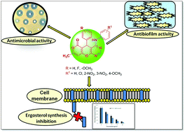 Graphical abstract: One-pot three-component domino protocol for the synthesis of novel pyrano[2,3-d]pyrimidines as antimicrobial and anti-biofilm agents