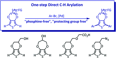 Graphical abstract: Palladium-catalyzed direct C–H arylations of dioxythiophenes bearing reactive functional groups: a step-economical approach for functional π-conjugated oligoarenes