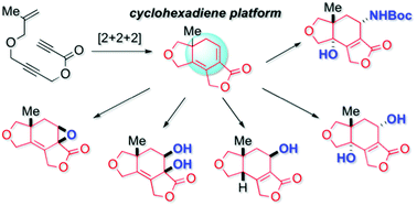 Graphical abstract: A lactone-fused cyclohexadiene as a versatile platform for diversified synthesis of 5,6,5-tricyclic scaffolds
