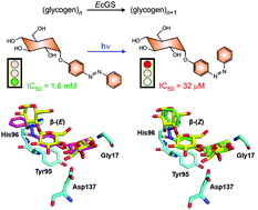 Graphical abstract: Selective photoregulation of the activity of glycogen synthase and glycogen phosphorylase, two key enzymes in glycogen metabolism