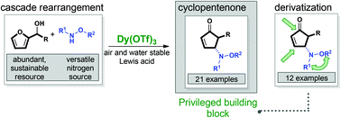 Graphical abstract: Cascade rearrangement of furylcarbinols with hydroxylamines: practical access to densely functionalized cyclopentane derivatives