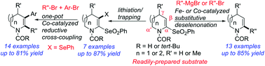 Graphical abstract: One-shot access to α,β-difunctionalized azepenes and dehydropiperidines by reductive cross-coupling of α-selenonyl-β-selenyl enamides with organic bromides