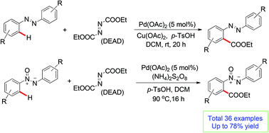 Graphical abstract: Palladium-catalyzed direct ortho-ethoxycarbonylation of azobenzenes and azoxybenzenes with diethyl azodicarboxylate