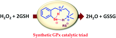 Graphical abstract: Introduction of a catalytic triad increases the glutathione peroxidase-like activity of diaryl diselenides