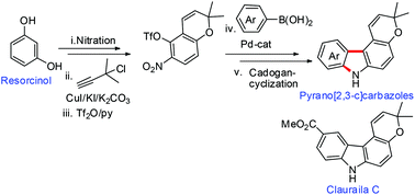 Graphical abstract: Palladium-catalyzed arylation of 2H-chromene: a new entry to pyrano[2,3-c]carbazoles