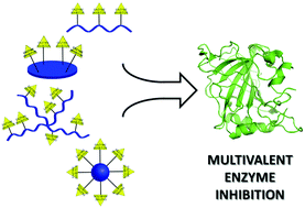 Graphical abstract: Emerging trends in enzyme inhibition by multivalent nanoconstructs