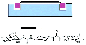 Graphical abstract: Thiourea-based spacers in potent divalent inhibitors of Pseudomonas aeruginosa virulence lectin LecA