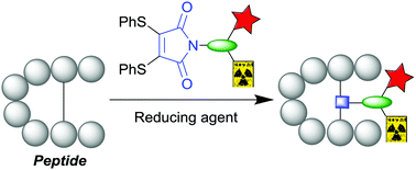 Graphical abstract: A dual optical and nuclear imaging reagent for peptide labelling via disulfide bridging