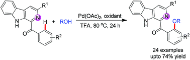 Graphical abstract: Pd(OAc)2-catalysed regioselective alkoxylation of aryl (β-carbolin-1-yl)methanones via β-carboline directed ortho-C(sp2)–H activation of an aryl ring