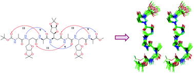 Graphical abstract: Synthesis of a new β-amino acid with a 3-deoxy-l-ara furnaoside side chain: the influence of the side chain on the conformation of α/β-peptides