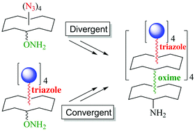 Graphical abstract: Divergent and convergent synthesis of GalNAc-conjugated dendrimers using dual orthogonal ligations