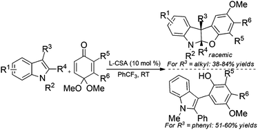 Graphical abstract: [3 + 2]-Annulations of N-alkyl-3-substituted indoles with quinone monoketals catalysed by Brønsted acids