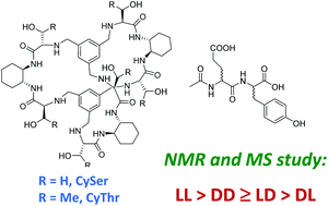 Graphical abstract: Stereoselective recognition of the Ac-Glu-Tyr-OH dipeptide by pseudopeptidic cages