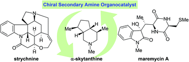 Graphical abstract: Alkaloid synthesis using chiral secondary amine organocatalysts