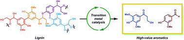 Graphical abstract: Transition-metal catalyzed valorization of lignin: the key to a sustainable carbon-neutral future