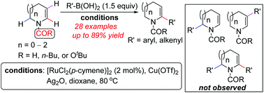 Graphical abstract: Regiocontrolled synthesis of (hetero)aryl and alkenyl dehydropyrrolidines, dehydropiperidines and azepenes by Ru-catalyzed, heteroatom-directed α-C–H activation/cross-coupling of cyclic enamides with boronic acids