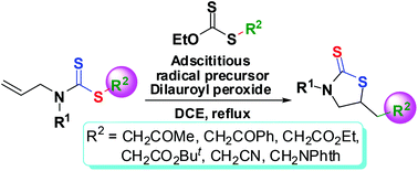 Graphical abstract: Synthesis of functionalized 5-substituted thiazolidine-2-thiones via adscititious xanthate-promoted radical cyclization of allyl(alkyl/aryl)dithiocarbamates
