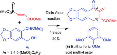 Graphical abstract: Total synthesis of (±)-epithuriferic acid methyl ester via Diels–Alder reaction