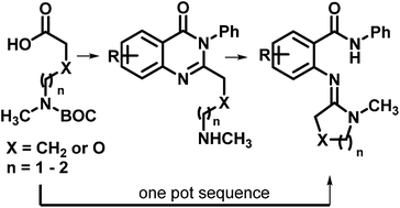 Graphical abstract: One-pot, regiospecific assembly of (E)-benzamidines from δ- and γ-amino acids via an intramolecular aminoquinazolinone rearrangement