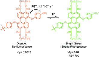 Graphical abstract: Fluorescent PET probes based on perylene-3,4,9,10-tetracarboxylic tetraesters