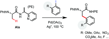 Graphical abstract: Palladium-catalyzed β-C(sp3)–H arylation of phthaloyl alanine with hindered aryl iodides: synthesis of complex β-aryl α-amino acids