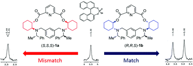 Graphical abstract: Synthesis and characterization of chiral aza-macrocycles and study of their enantiomer recognition ability for organo-phosphoric acid and phosphonic acid derivatives by 31P NMR and fluorescence spectroscopy