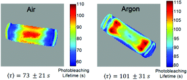 Graphical abstract: The spatial distribution of the photostability of thionine in zeolite L nanochannels investigated by Photobleaching Lifetime Imaging Microscopy