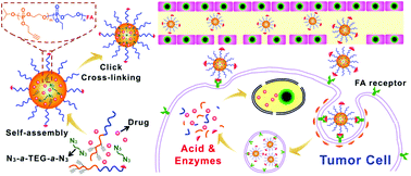 Graphical abstract: Core cross-linked polyphosphoester micelles with folate-targeted and acid-cleavable features for pH-triggered drug delivery