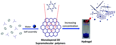 Graphical abstract: Highly thermally stable hydrogels derived from monolayered two-dimensional supramolecular polymers